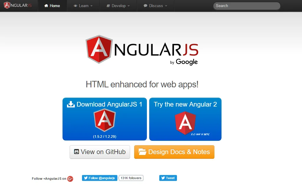 angularjs website