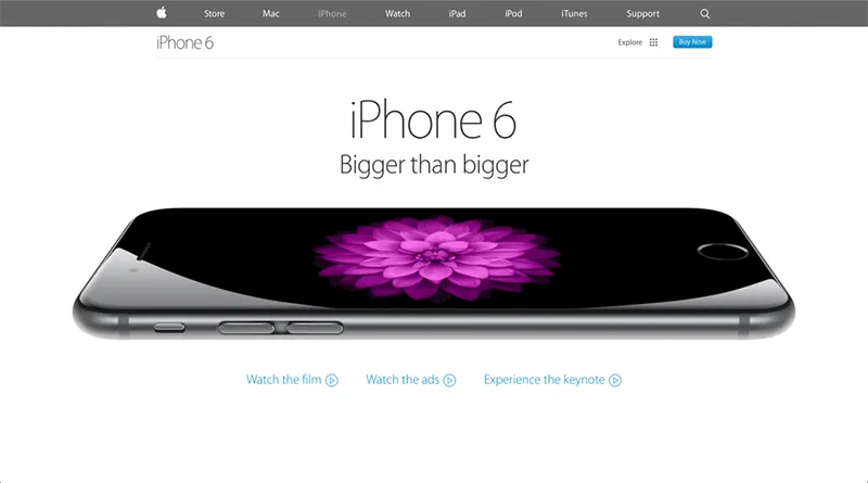 6e7a0a6e8fea076371746645050a2eda